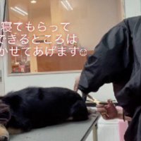 そのままぐっすり…