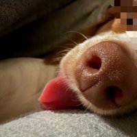 無防備