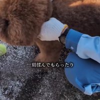 肩もみもしてくれたよ