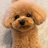 綺麗になって帰宅♪