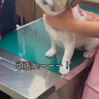 「大丈夫だよ」