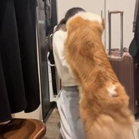飼い主の姉の顔を舐める中型犬