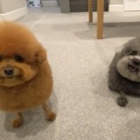 なにしてもかわいい♡