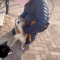 全体重で圧をかけます