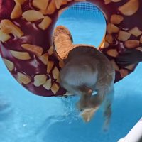 挑戦する気持ちが大切！