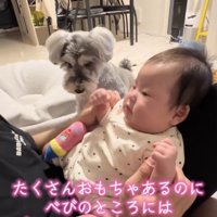 「これどうぞっ」
