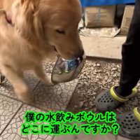 「どこに運べばいいですか？」