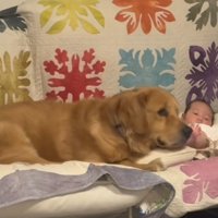 赤ちゃんに蹴られても…