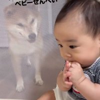 もう一度食べようとする赤ちゃん