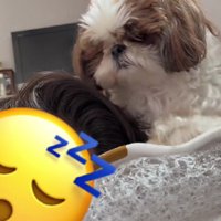 悩む皇子くん