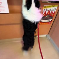 動物病院へ！！