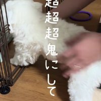 「いっちに、いっちに」