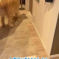 「おにいさああああん！！」