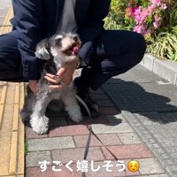 「もっとナデナデして♡」