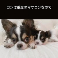 寄り添う2匹の犬