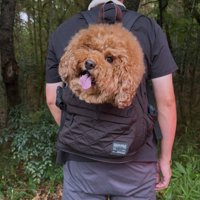 顔のバランスがおかしい！？