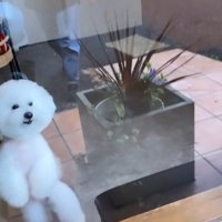 ショーンくんのお迎え4