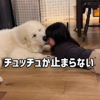 妹のことが大好き！