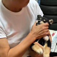 おじいちゃんの闘病