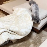 違和感を覚えるピーターくん