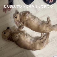 「とりあえず、ね」