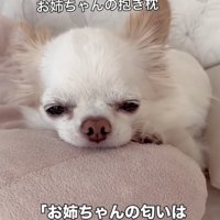 2年後、元気で再会しようね