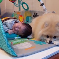 仲良く寄り添ってリラックス♡