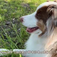 釣りが好きになったガルちゃん