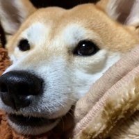 ハウスでリラックス中