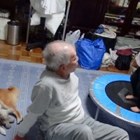 柴犬と女の子とおじいちゃん