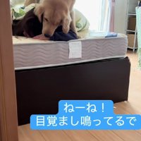 アラームが鳴り響く朝