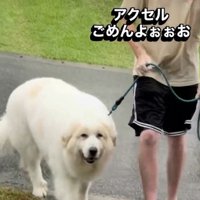 ゆっくりと家へ