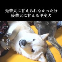 甘えん坊なハルヱちゃんの過去と現在2