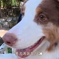 嬉しそうなガルチェロくん