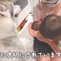 みんなで赤ちゃんをあやす