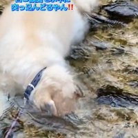 水に顔をつける4