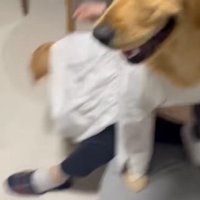 ご満悦で可愛い…♡