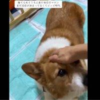 お迎え