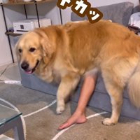 お姉ちゃんに体重をかけた！