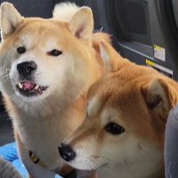 「どこに行っちゃったの…」