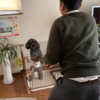 名コンビなふたり