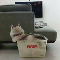 猫みたいにぴったり♡