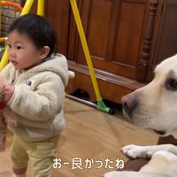 あっさり手放して…
