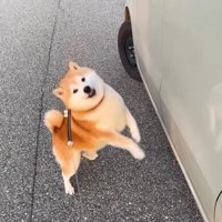 ソワソワが止まらない