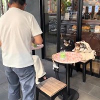 撮影会が開始！？