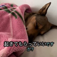 「今日はお休みにしたい」
