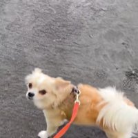 温かな思い出ができたね