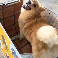 楽しそう♪