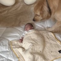 そーっと近づいて…