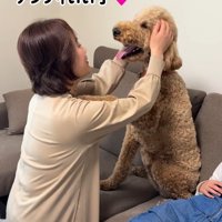 おばあちゃんに顔を撫でられて笑顔の犬